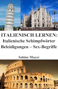 Italienisch lernen: italienische Schimpfwörter ‒ Beleidigungen ‒ Sex-Begriffe - Sabine Mayer - E-Book