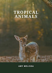 Tropical animals - melissa amy - E-Book