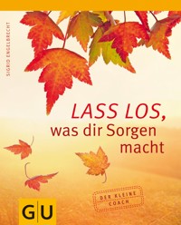 Lass los, was Dir Sorgen macht - Sigrid Engelbrecht - E-Book