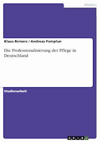 Die Professionalisierung der Pflege in Deutschland - Klaus Reiners - E-Book