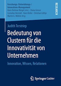 Bedeutung von Clustern für die Innovativität von Unternehmen - Judith Terstriep - E-Book