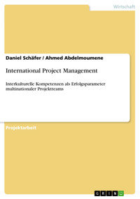 International Project Management - Daniel Schäfer - E-Book