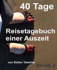 40 Tage - Reisetagebuch einer Auszeit - Stefan Taleiche - E-Book