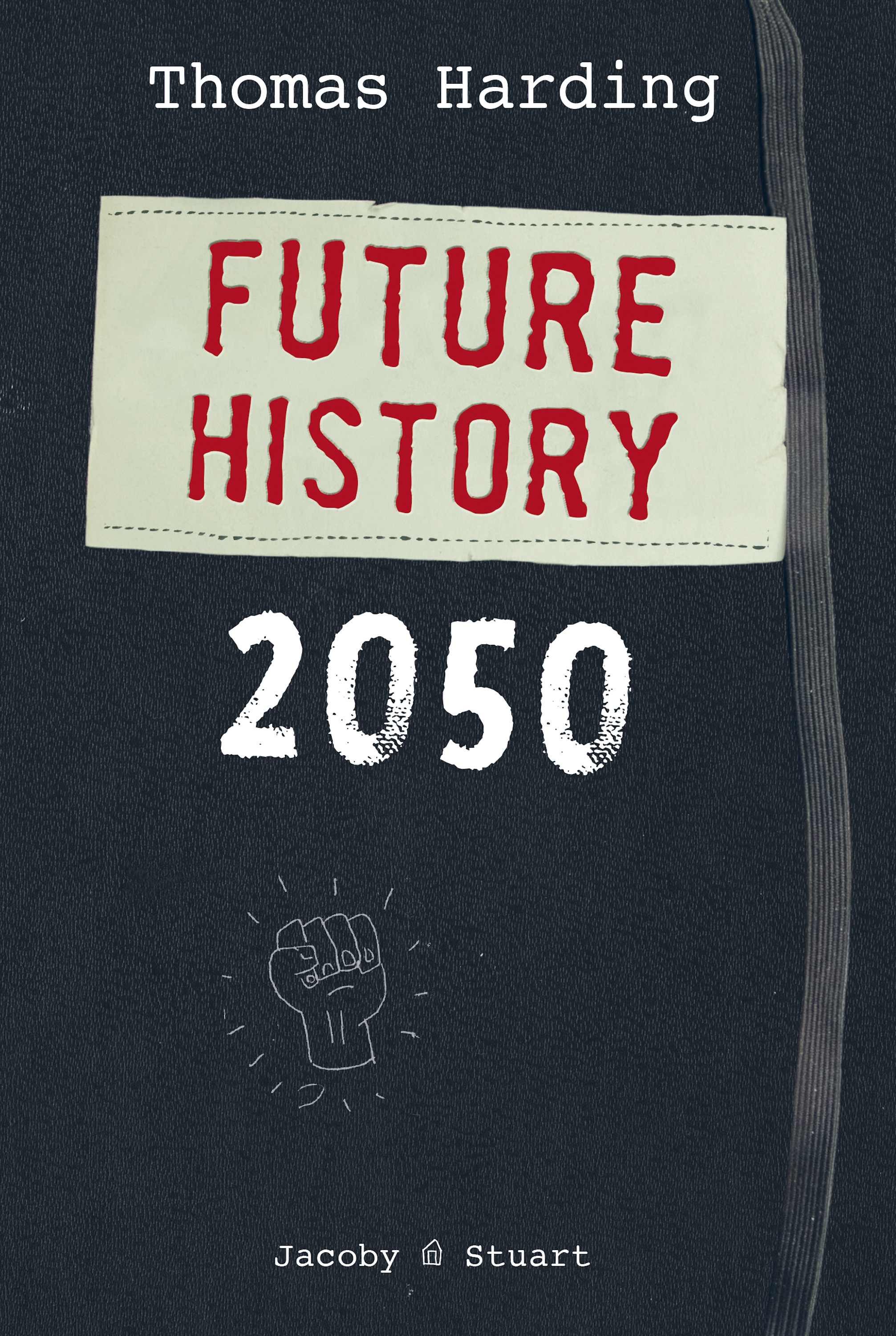 Future History 2050 - Thomas Harding - E-Book