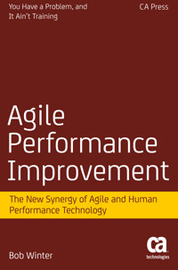 Agile Performance Improvement - Robert Winter - E-Book