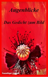 Augenblicke - Das Gedicht zum Bild - Grit Roß - E-Book