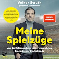 Meine Spielzüge - Volker Struth - Hörbuch