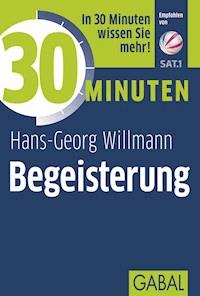 30 Minuten Begeisterung - Hans-Georg Willmann - E-Book