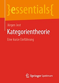 Kategorientheorie - Jürgen Jost - E-Book