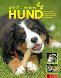 Zeit für meinen Hund - Jennifer Willms - E-Book