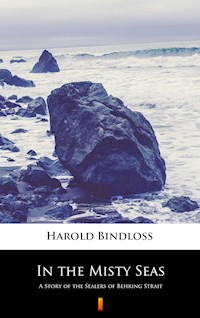 In the Misty Seas - Harold Bindloss - E-Book