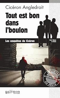 Tout est bon dans l’boulon - Cicéron Angledroit - E-Book