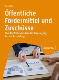 Öffentliche Fördermittel und Zuschüsse - Tanja Ebbing - E-Book
