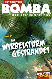 Bomba im Wirbelsturm gestrandet - Roy Rockwood - E-Book