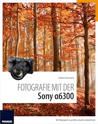 Fotografie mit der Sony Alpha 6300 - Andreas Hermann - E-Book