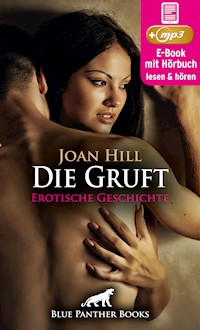 Die Gruft | Erotik Audio Story | Erotisches Hörbuch - Joan Hill - E-Book