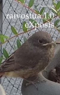 raivostua 1.0 - Jochen Krueger - E-Book