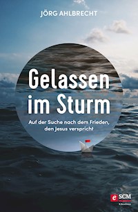 Gelassen im Sturm - Jörg Ahlbrecht - E-Book
