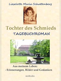 Tochter des Schmieds - Lieselotte Maria Schattenberg - E-Book