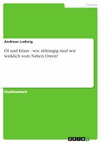 Öl und Islam - wie abhängig sind wir wirklich vom Nahen Osten? - Andreas Ludwig - E-Book