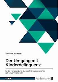 Die Diskussion um die Herabsetzung der Strafmündigkeitsgrenze auf 12 Jahre in Deutschland - Melissa Harman - E-Book