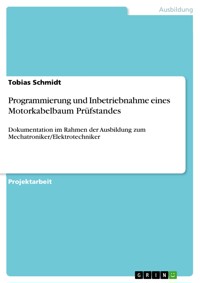 Programmierung und Inbetriebnahme eines Motorkabelbaum Prüfstandes - Tobias Schmidt - E-Book