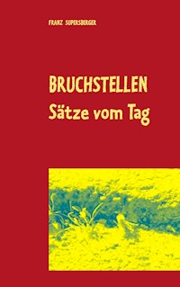 Bruchstellen - Franz Supersberger - E-Book