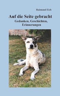 Auf die Seite gebracht - Raimund Eich - E-Book