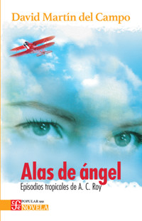 Alas de Ángel - David Martín del Campo - E-Book