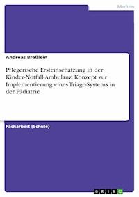 Pflegerische Ersteinschätzung in der Kinder-Notfall-Ambulanz. Konzept zur Implementierung eines Triage-Systems in der Pädiatrie - Andreas Breßlein - E-Book
