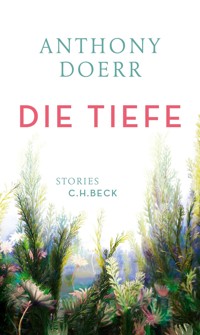 Die Tiefe - Anthony Doerr - E-Book