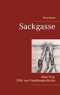 Sackgasse - Petra Barlow - E-Book