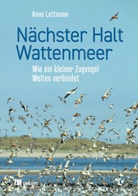 Nächster Halt Wattenmeer - Reno Lottmann - E-Book
