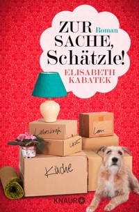 Zur Sache, Schätzle! - Elisabeth Kabatek - E-Book