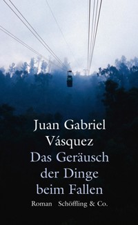 Das Geräusch der Dinge beim Fallen - Juan Gabriel Vásquez - E-Book