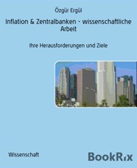 Inflation & Zentralbanken - wissenschaftliche Arbeit - Ozgur Ergul - E-Book
