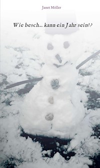 Wie besch...kann ein Jahr sein - Janet Möller - E-Book