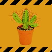 Der Gärtner war der Mörder - Wolfgang Schneider - E-Book