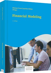 Financial Modeling - Michael Bloss - E-Book