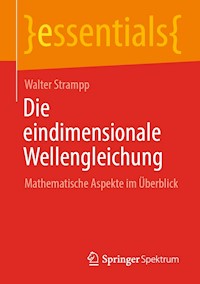 Die eindimensionale Wellengleichung - Walter Strampp - E-Book