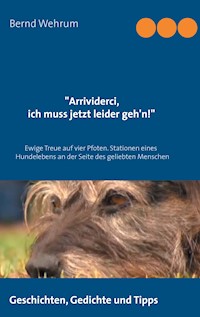 Arrividerci, ich muss jetzt leider geh'n! - Bernd Wehrum - E-Book