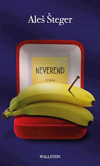 Neverend - Aleš Šteger - E-Book