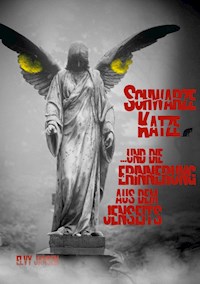 Schwarze Katze...und die Erinnerung aus dem Jenseits - Elvy Jansen - E-Book