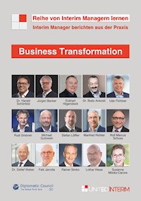 Business Transformation: Interim Manager berichten aus der Praxis - Eckhart Hilgenstock - E-Book