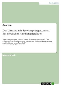 Der Umgang mit Systemsprenger_innen. Ein möglicher Handlungsleitfaden - Marcel Oepen - E-Book