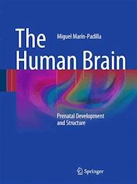 The Human Brain - Miguel Marín-Padilla - E-Book