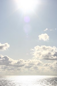 Planet Freiheit - Madelaine Kaufmann - E-Book