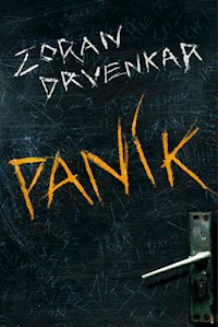Panik - Zoran Drvenkar - E-Book