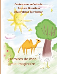 histoire de mon amie imaginaire - Bernard Brunstein - E-Book