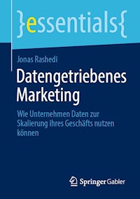 Datengetriebenes Marketing - Jonas Rashedi - E-Book